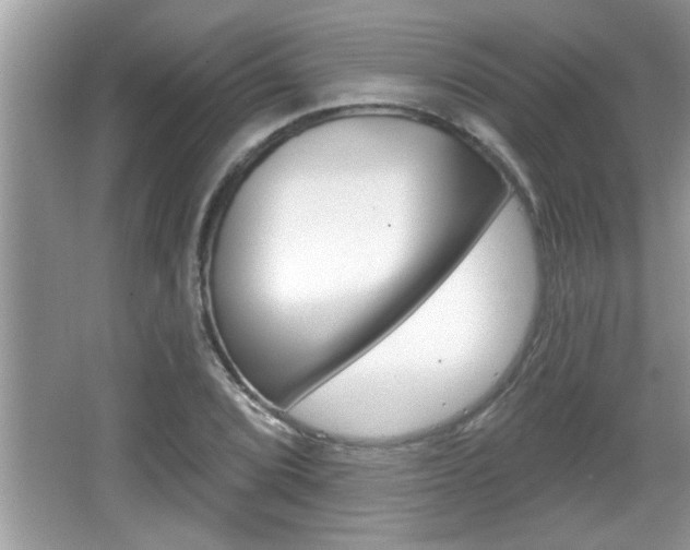 X0000065951072200603030857