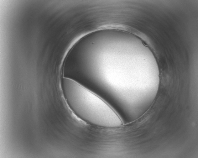 X0000065951102200603030856