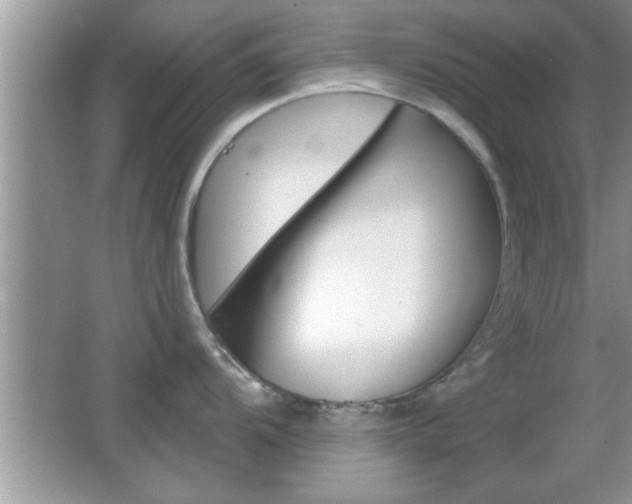 X0000065951104200603030856