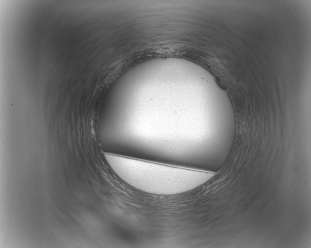 X0000065951106200603030855