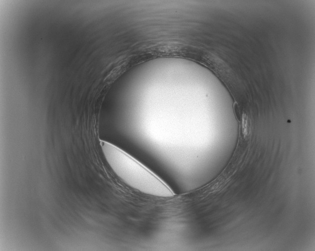 X0000065951107200603030855