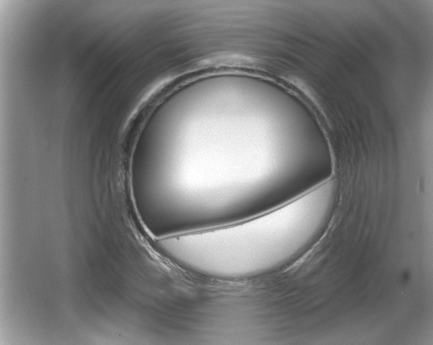 X0000065951115200603030856