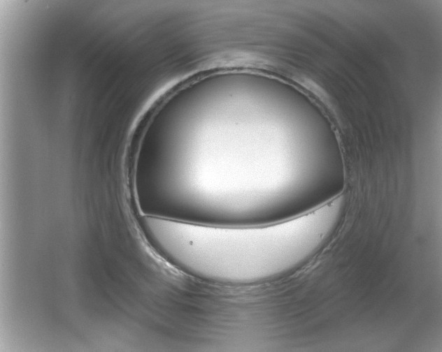 X0000065951120200603030856