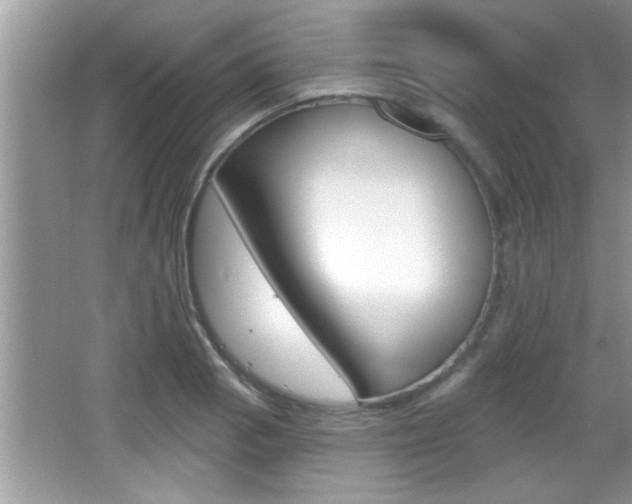 X0000065951129200603030856