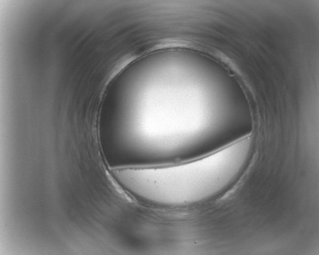 X0000065951137200603030856