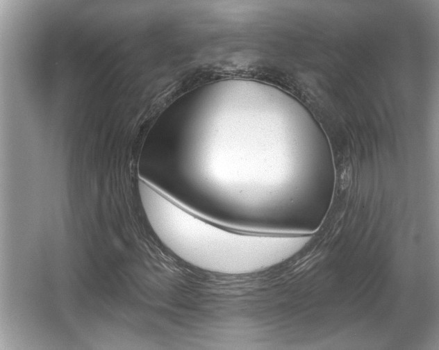 X0000065951156200603030855