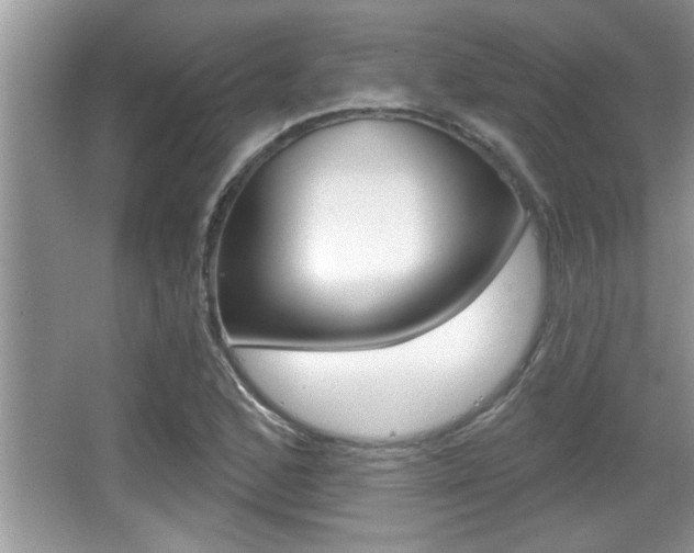 X0000065951168200603030855