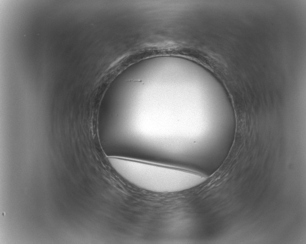 X0000065951205200603030854