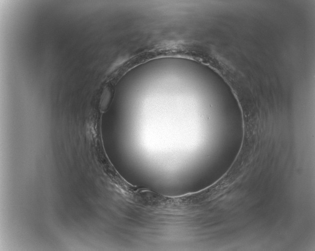 X0000065951206200603030854