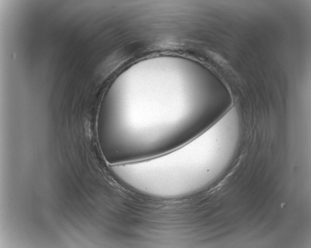 X0000065951209200603030854