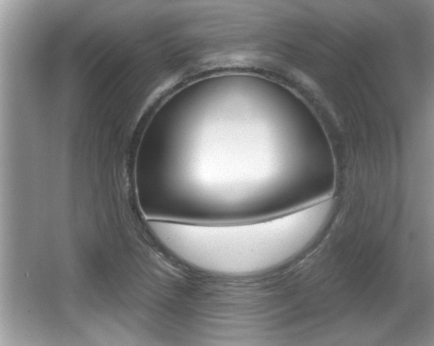 X0000065951218200603030854