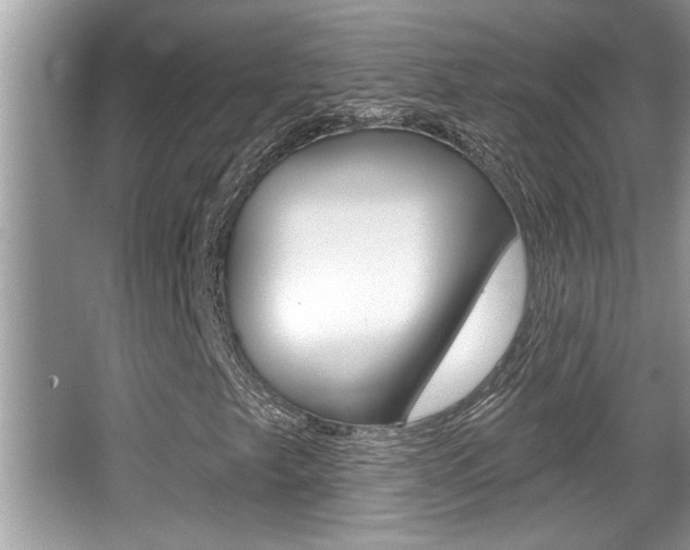 X0000065951249200603030854