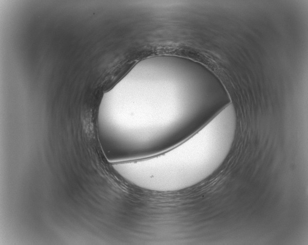 X0000065951252200603030854