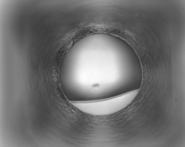 X0000065951253200603030854