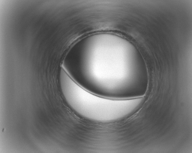 X0000065951265200603030854