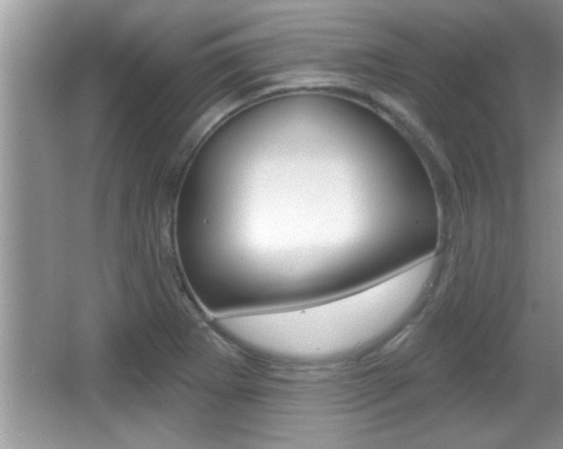 X0000065951273200603030853