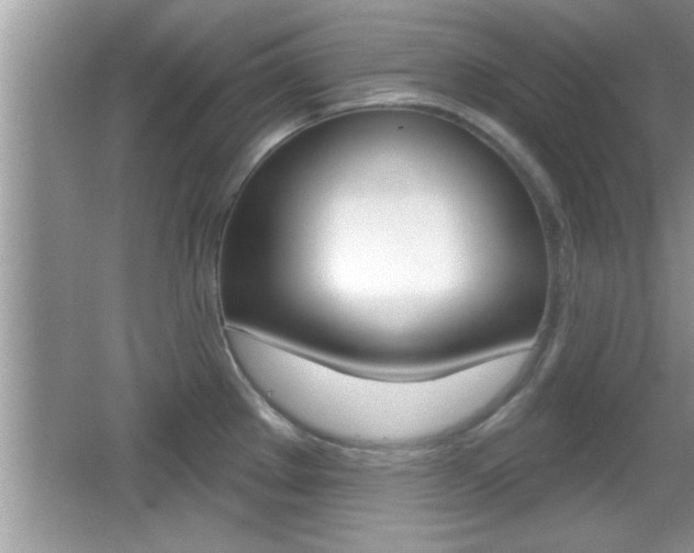 X0000065951289200603030853