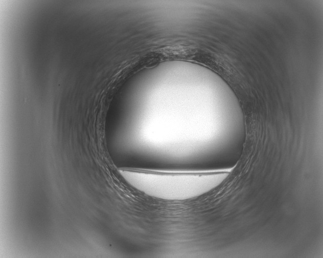 X0000065951297200603030852