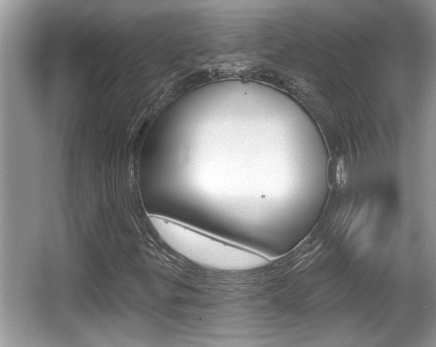 X0000065951299200603030852