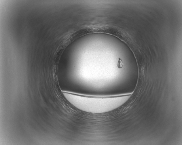 X0000065951300200603030852