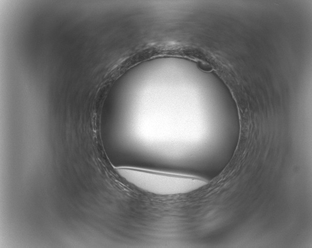 X0000065951301200603030852