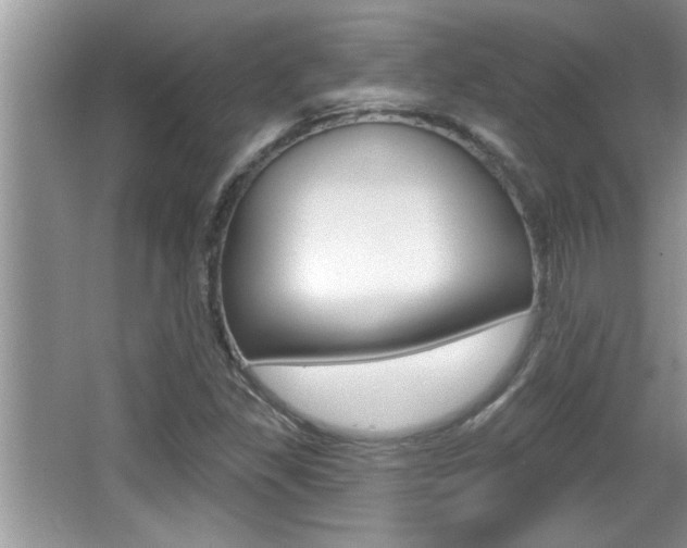 X0000065951309200603030852