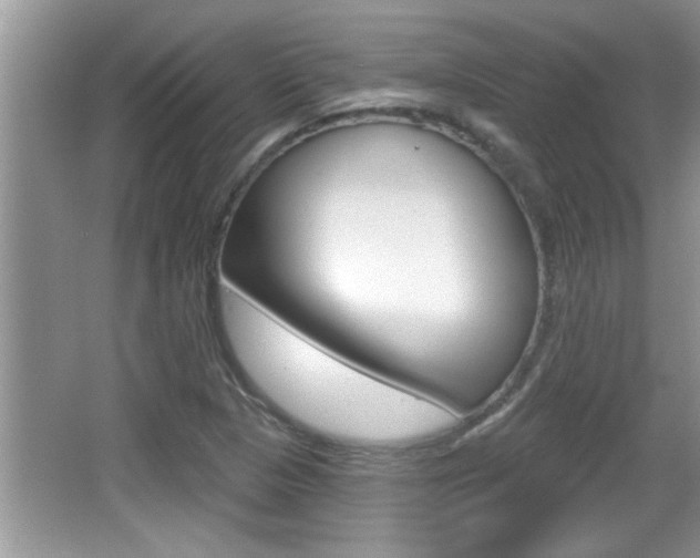 X0000065951313200603030852