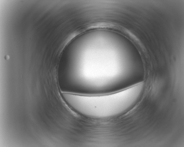 X0000065951329200603030853