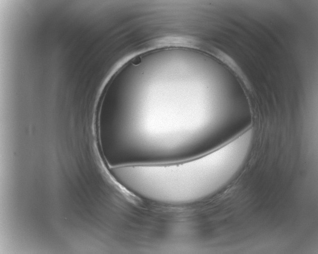 X0000065951339200603030853