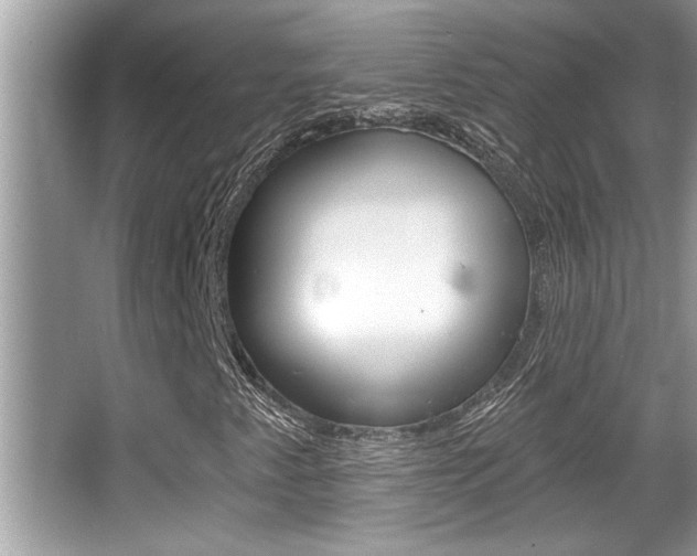 X0000065951345200603030852