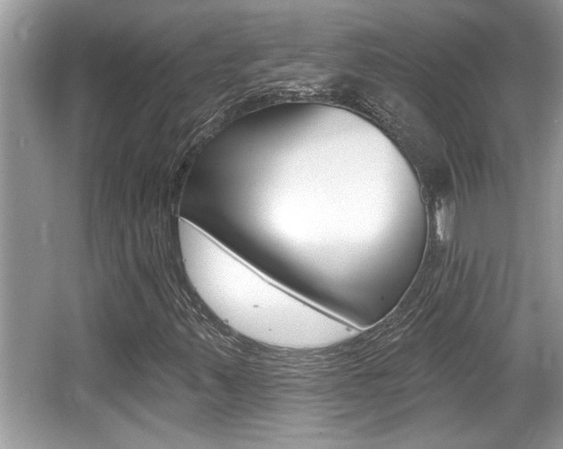 X0000065951347200603030852