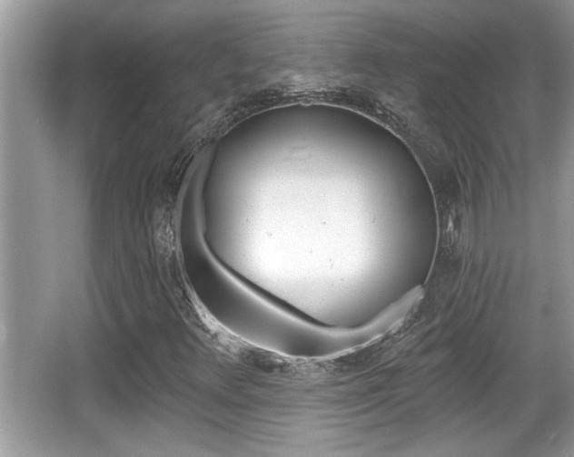 X0000065951348200603030852