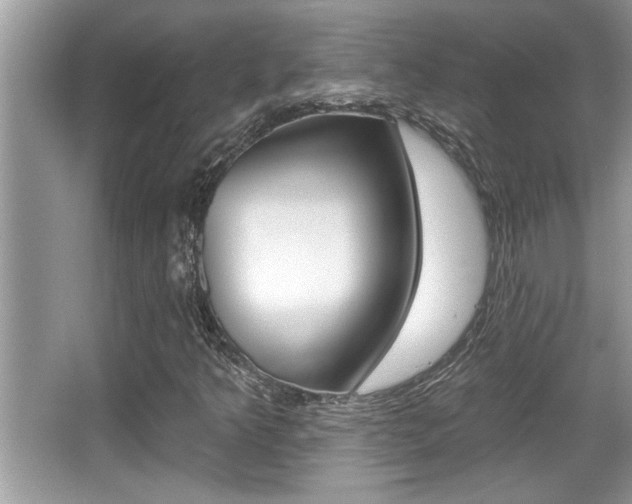 X0000065951349200603030852