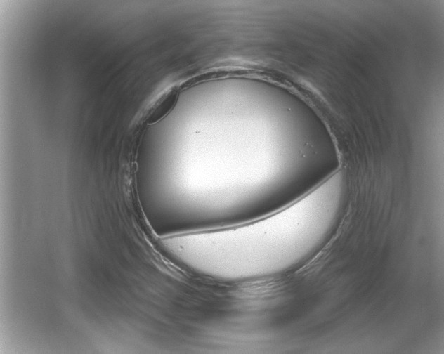 X0000065951355200603030852