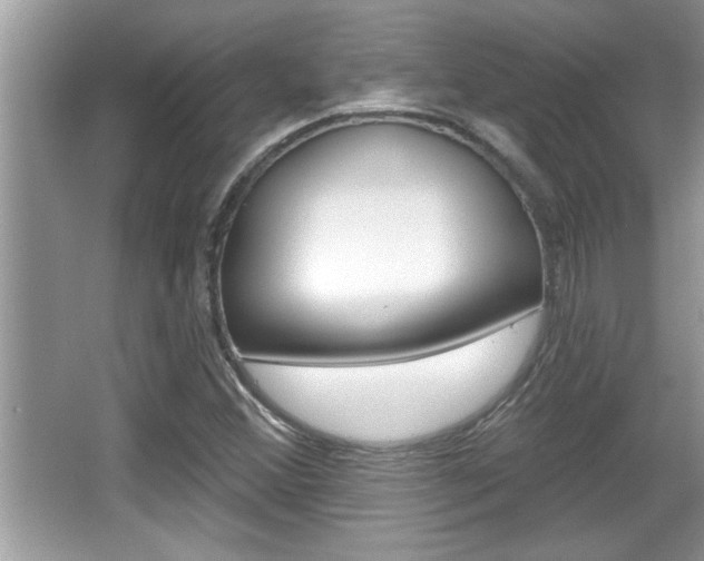 X0000065951356200603030852