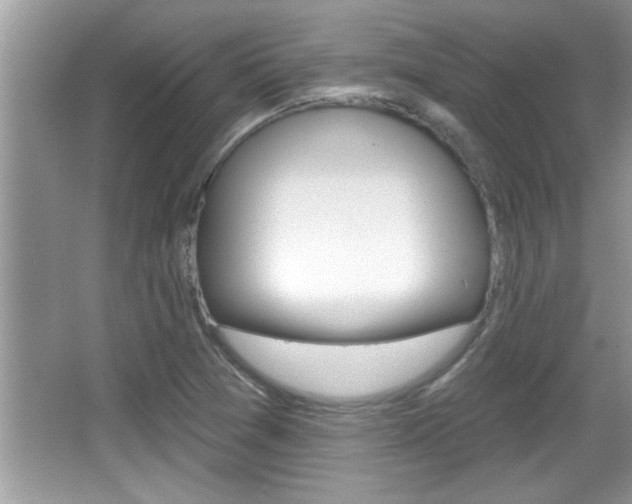 X0000065951361200603030852