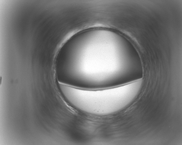 X0000065951367200603030852