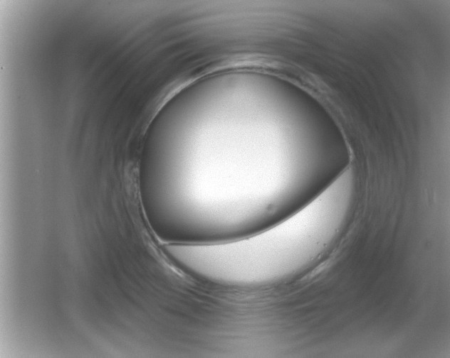 X0000065951369200603030852