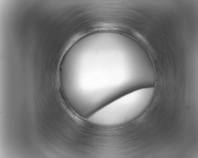X0000065951370200603030852