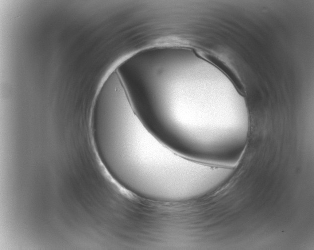X0000065951387200603030851