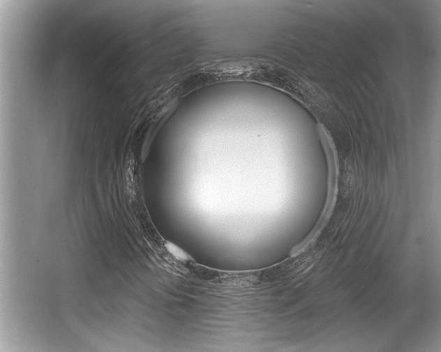 X0000065951394200603030851