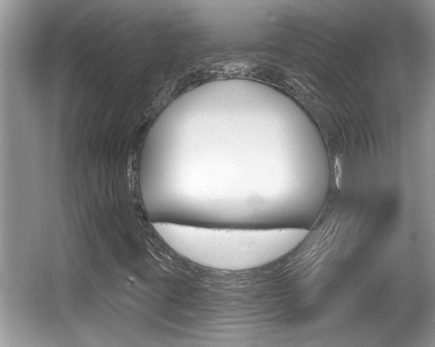 X0000065951395200603030851