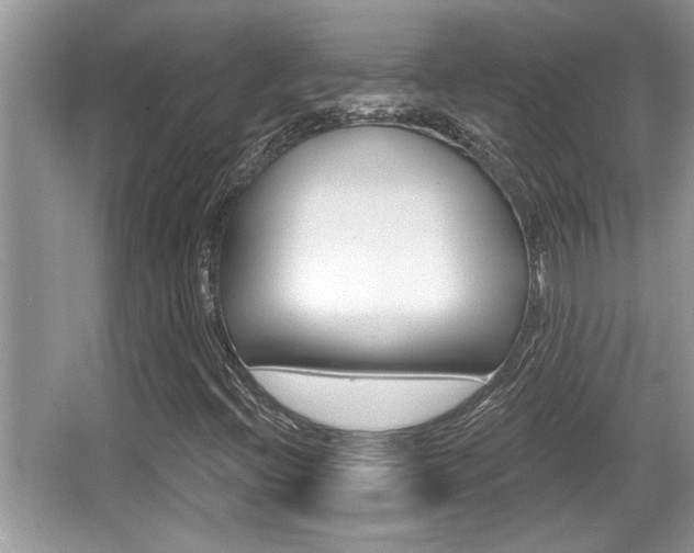 X0000065951396200603030851