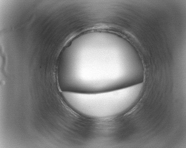 X0000065951409200603030851