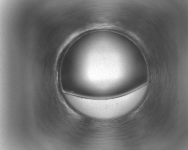 X0000065951414200603030851