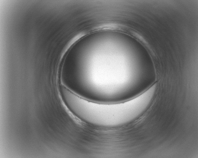 X0000065951426200603030851