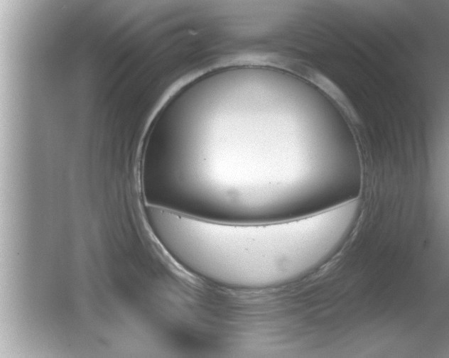 X0000065951436200603030851