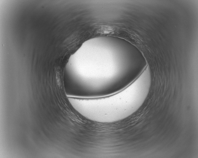 X0000065951442200603030851