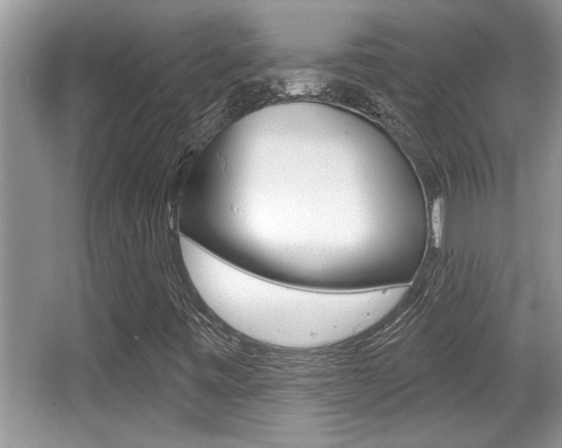 X0000065951443200603030851