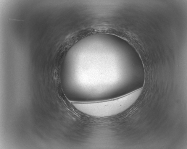 X0000065951445200603030851